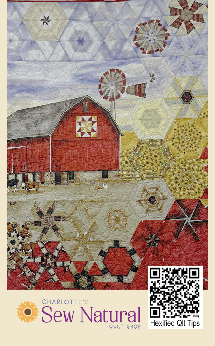 Charlotte's Tips - Making A Hexified Quilt Using Fabric Panels
