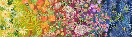 Wild Blossoms - Floral Ombre - Rainbow
