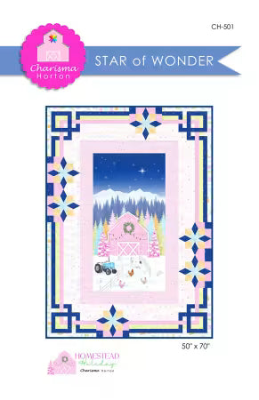 Star of Wonder - 50 x 70 - by Charisma Horton - Panel quilt
