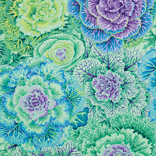 Brassica - Green - Large Cabbages in Light Greens Purple & Deep RedClassic