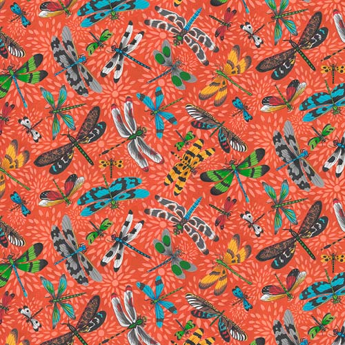Utopia - Dragonflies - Tangerine - colorful dragonflies on orange