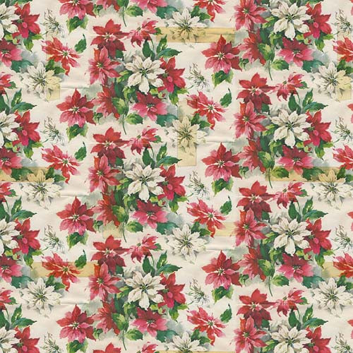 Holidays Past - Poinsettia Print - Mlt - vintage poinsettias by Tim Holtz
