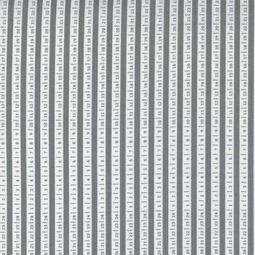 Beautiful Day - Slate - Ticker tape stripe by Corey Yoder