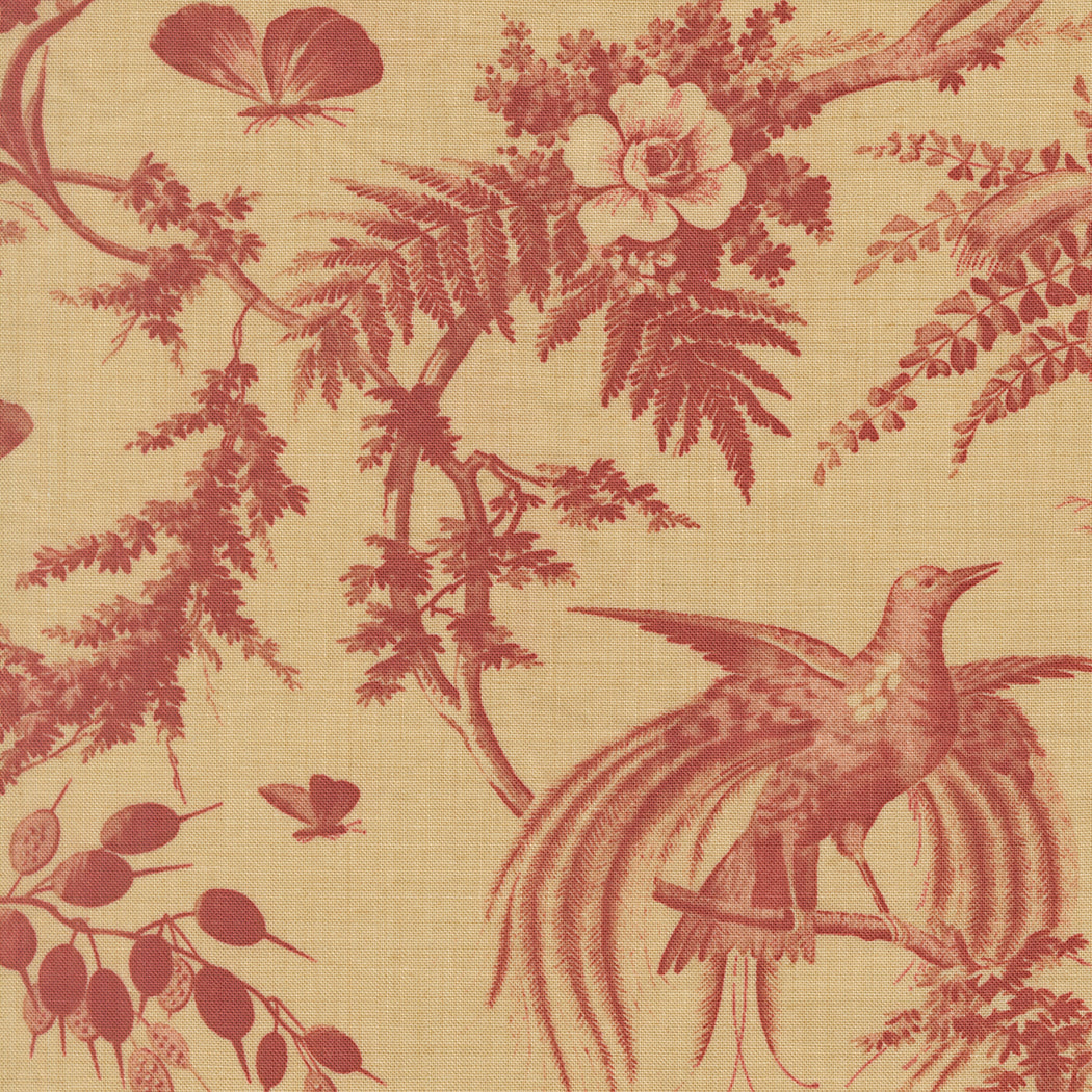 Le Jardin Rouge - Margueritte Florals - Oyster