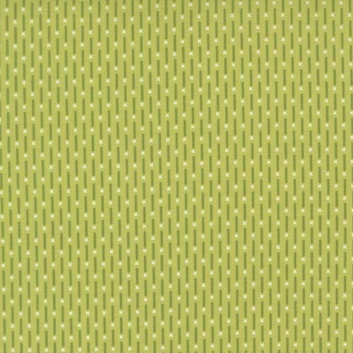 Poinsettia and Pear - Candy Stripe - Pistachio