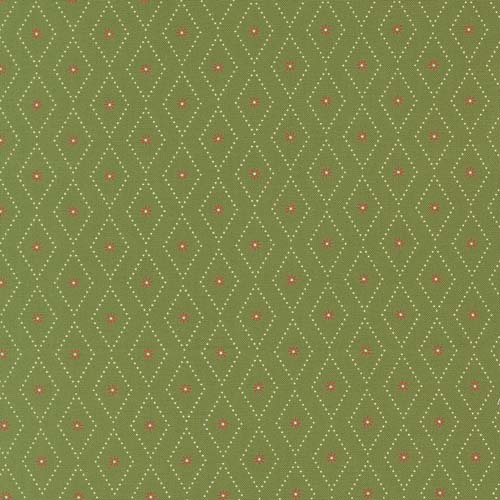 Poinsettia and Pear - Argyle Blenders - Evergreen