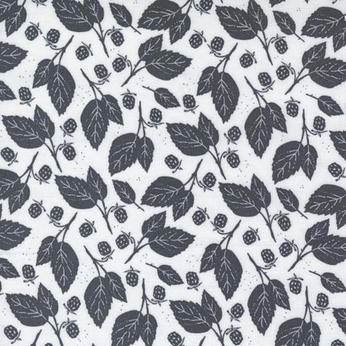 Midnight in the Garden - Blackberry bramble - mist - black leaves & berries