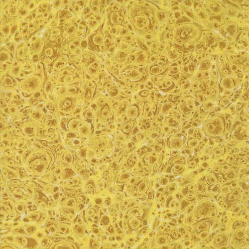 Curated In Color - Marbles - Yellow - marble texture in yellow - Cathe Holden