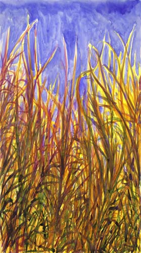 Forage & Fodder - Grass - Sunflower - brightly colored grass on blue