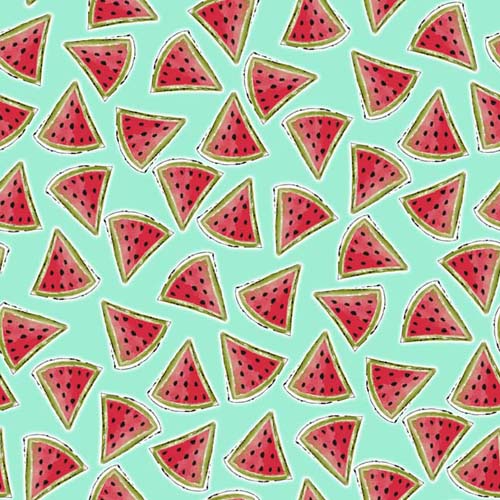 Happy Campers - Watermelon Slices - tossed watermelon slices on turquoise