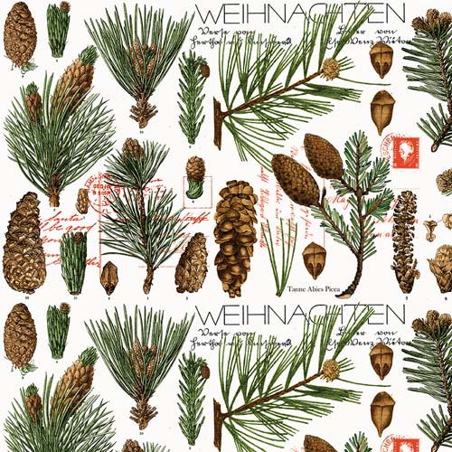 Classic Christmas - BotanicalPines - White - pine cones & branches on white