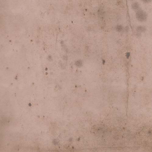 Provisions - Rose - Shades of Pink & Browns by Tim Holtz