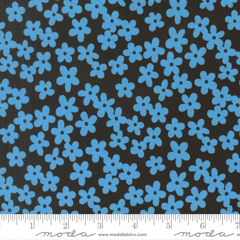 True To Hue - Petal Accent - Night Blue - packed blue floral on black
