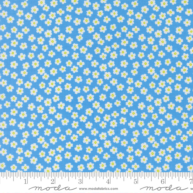 True To Hue - Petal Power Florals - Blue My Mind - small white flowers on blue