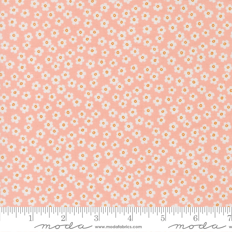 True To Hue - Petal Power Florals - Blush - small white flowers on blush pink
