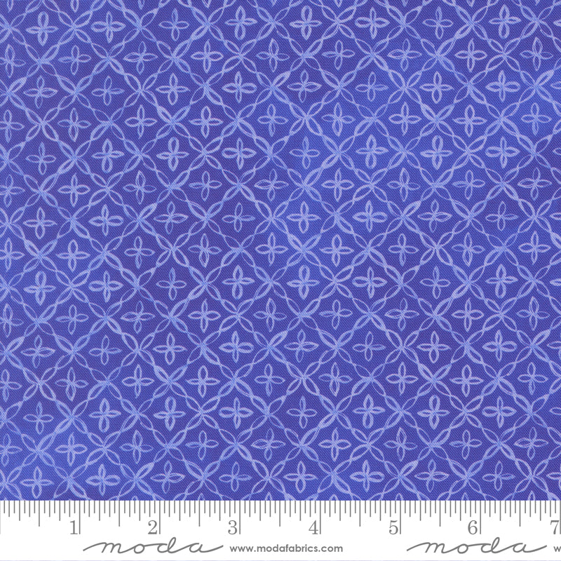 Delphinium - Lilac Florals - Agapanthus - lilac flowers on dk blue violet