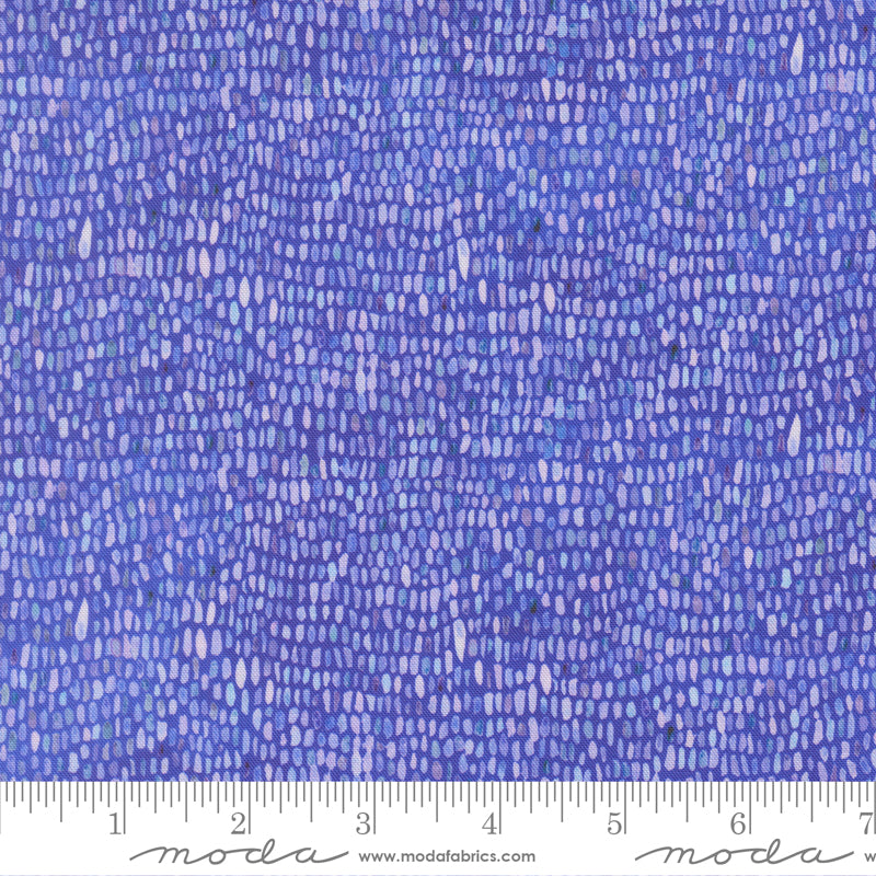 Delphinium - Palette Blenders- Mauve - shades of purple seeds on lt purple