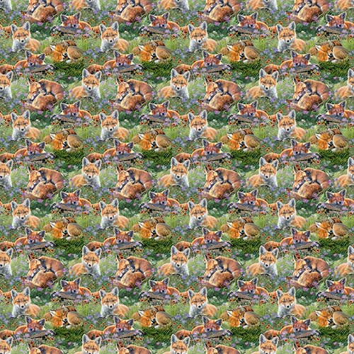 Mountain Sunrise - Sleepy Foxes - Green- foxes in meadows