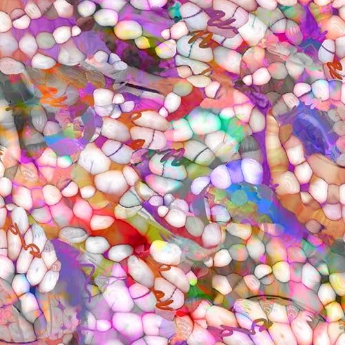 Shining Sea - Octopus Texture- Multi - multi colored bubble-like texture