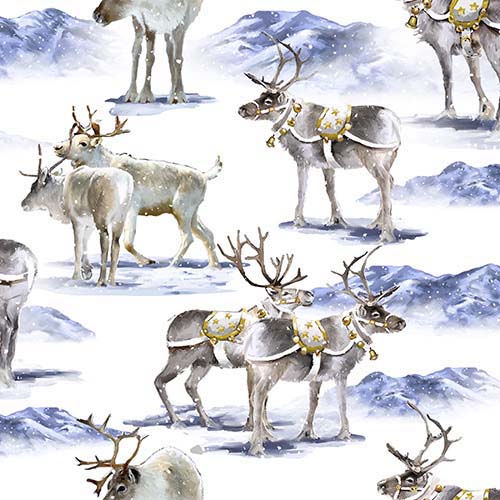Here Comes Santa - Reindeer Romp - White - reindeer on white & blue