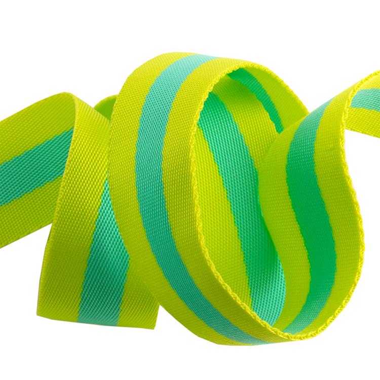 Tula Pink Webbing - 2 yards of 1.5 inch striped nylon - lime & turquoise
