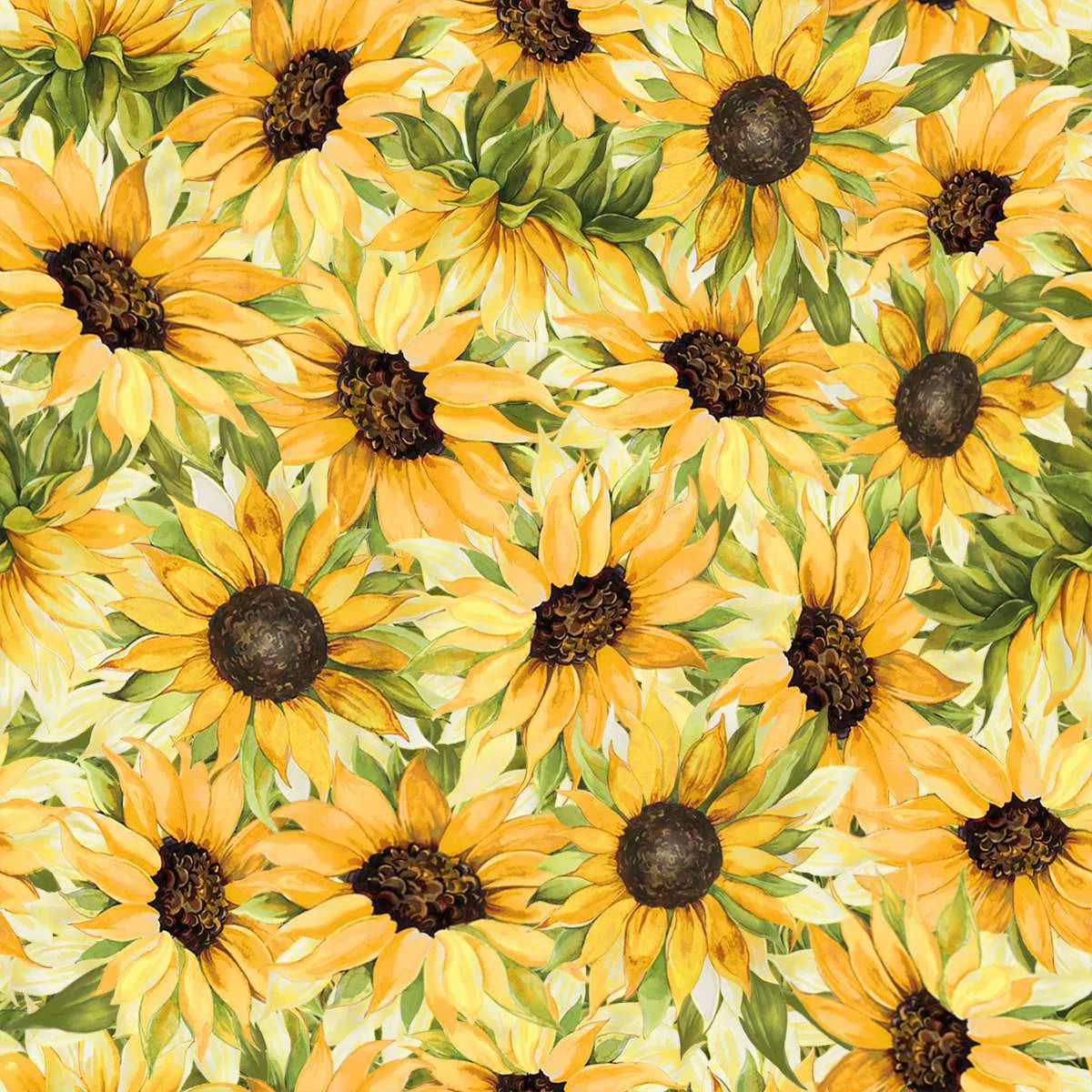 Follow the Sun - Packed Sunflowers - packed  sunflowers on cream