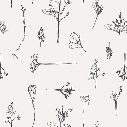 Capsules-Raise The Volume-Sonc Flora-Tossed Black Line Drawings of Flowers