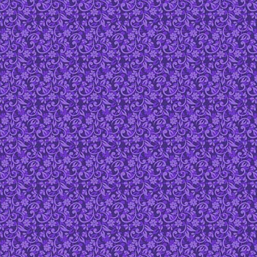 Mollys Magic - Phlox - Aster - small purple floral