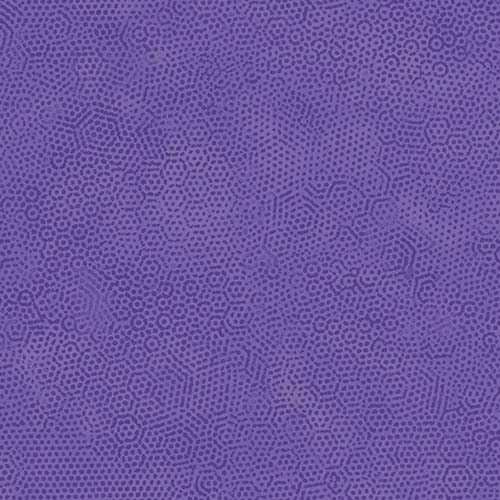 Dimples - Haleya - Purple on Purple
