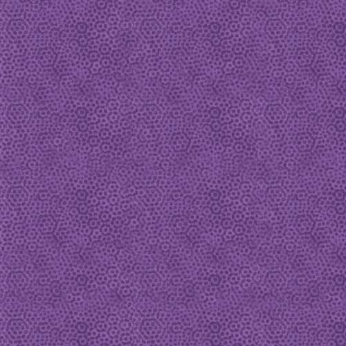 Dimples - Mardi Gras - Violet on Violet