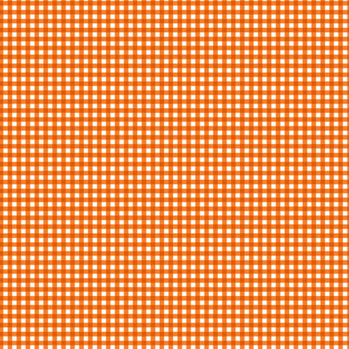 Fruity Friends - Gingham - Orange - 1/8th Inch by Makower UK
