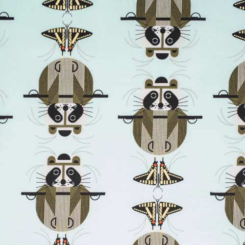 Cats & Raccs-Raccrobat-Raccoon Hanging on a Bar-Mint Background-Art by Charley