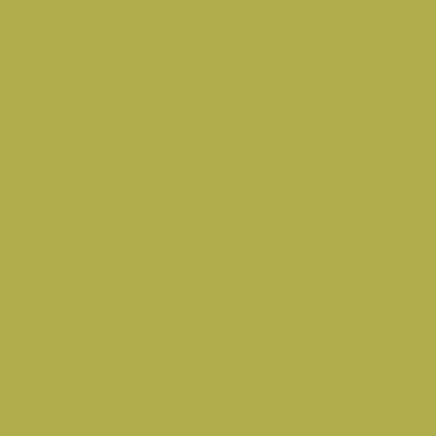Confetti Cotton Solids - Asparagus - yellow green
