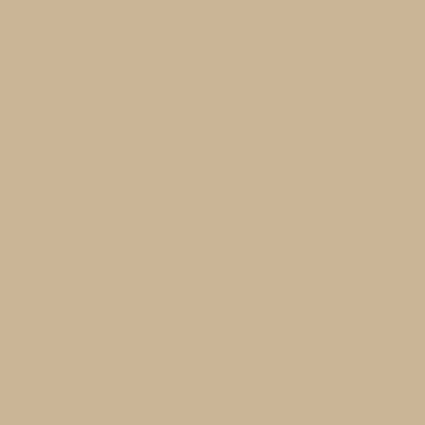 Confetti Cotton Solids - Palomino - light gold