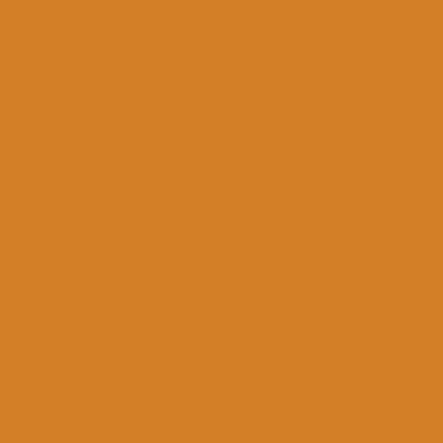 Confetti Cotton Solids - Spice - yellow orange