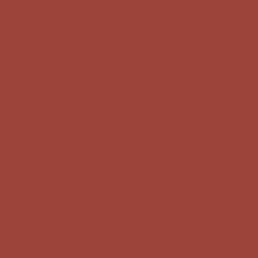 Confetti Cotton Solids - Terracotta - dark rust