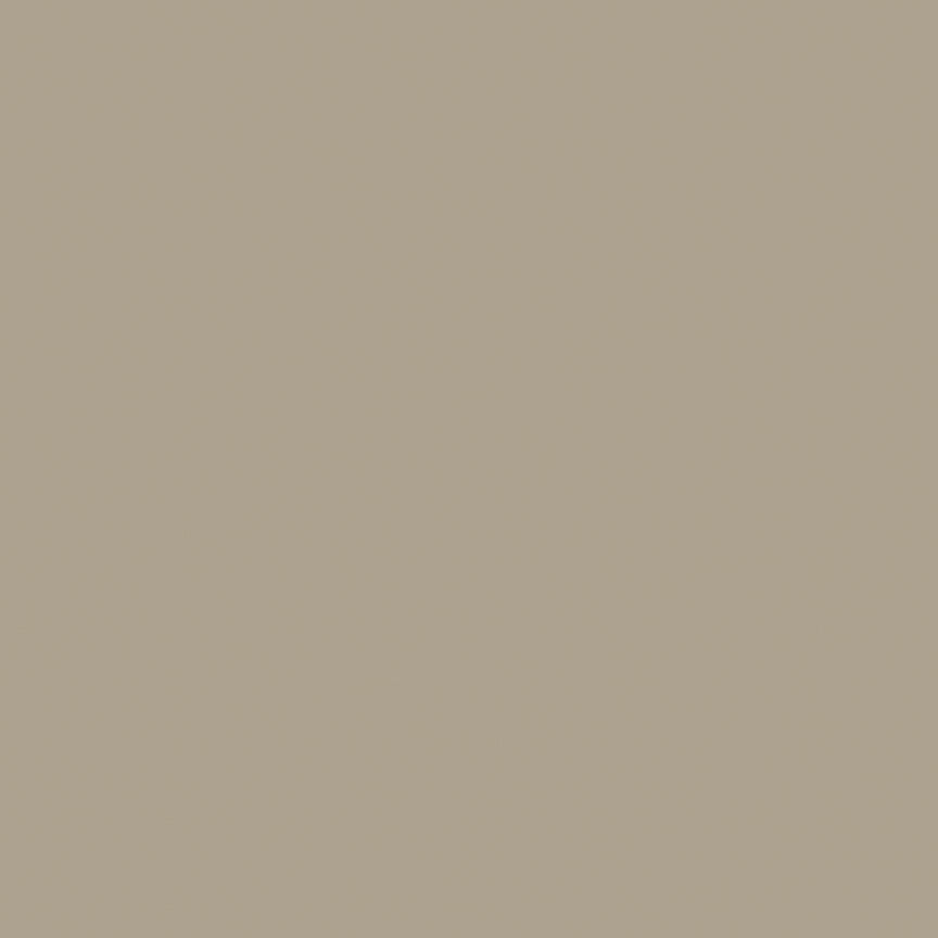Confetti Cotton Solids - Trail - tan - khaki