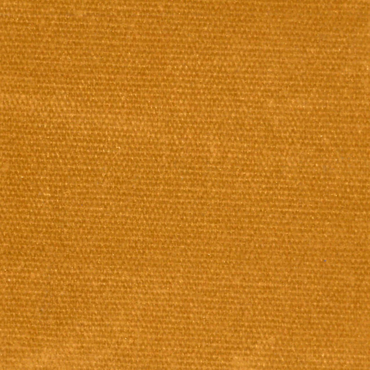Waxed Canvas - Amber - gold 8 oz. canvas - 57/58 inches