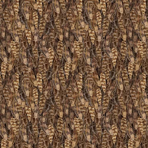 Night Whispers - Feathers - Dark Caramel - packed brown owl feathers