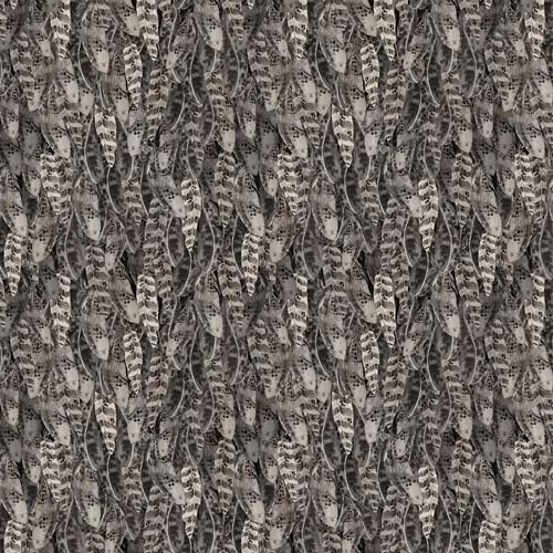 Night Whispers - Feathers - Dark Gray - packed gray owl feathers