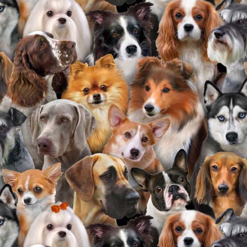 Dog Breeds - Packed dogs - Wide range of breeds and sizes