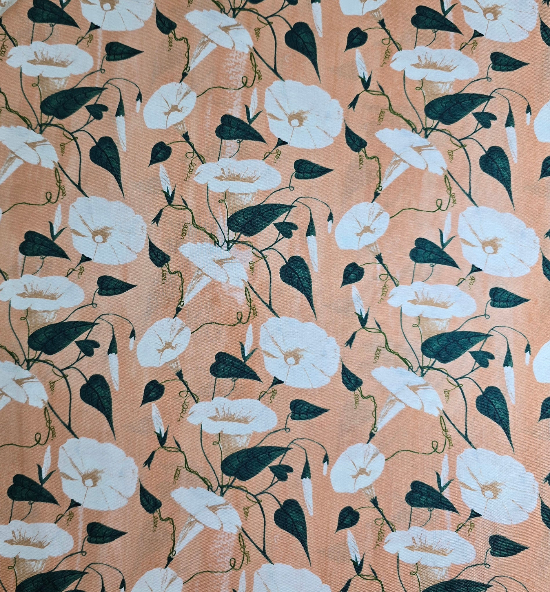 Daybreak - Morning Glory - Peach - white floral on peach