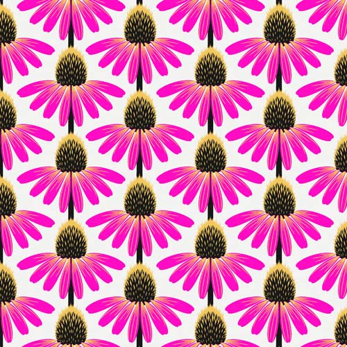 Love Always, AM - Echinacea -True- fuschia & yellow flowers on white-Anna Maria