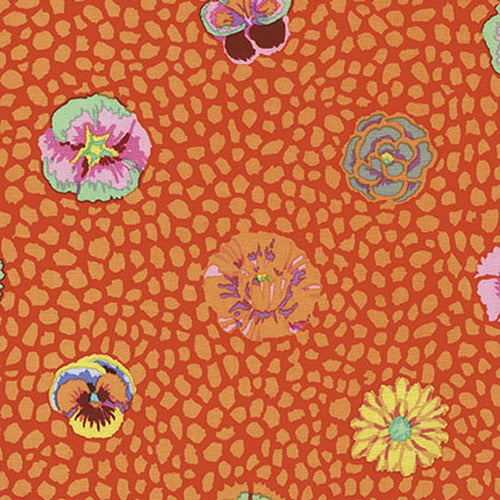 Guinea Flower - Apricot - small multi color flowers among orange dots on dark or