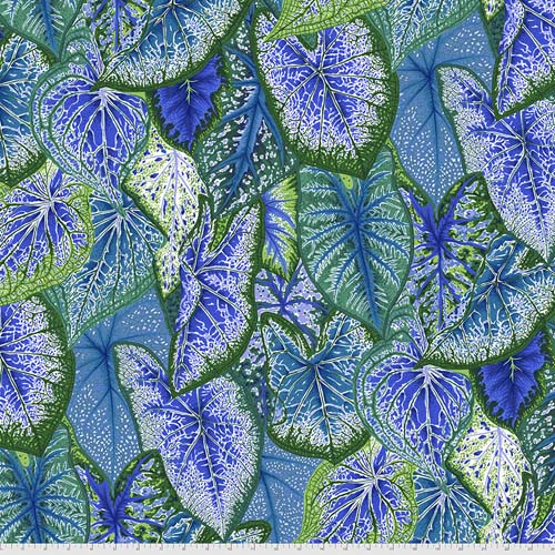 Caladiums - Blue - blue and green leaves - Kaffe Collective - Aug 2021