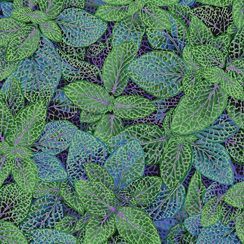 Kaffe Collective - August 2024- Fittonia - Green - green & teal leaves w/purple