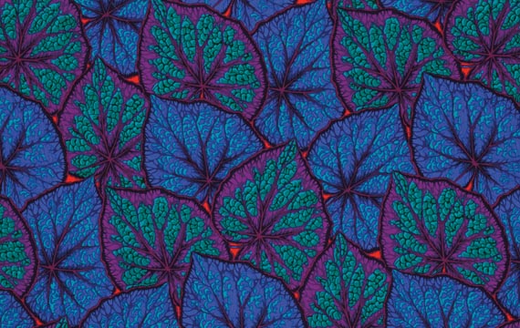 Begonia Leaves - Cobalt -purple/teal/cobalt leaves by Kaffe Fassett