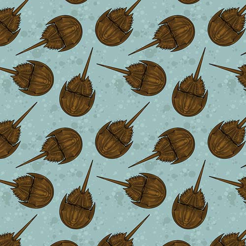 Mariana - Horseshoe Holiday -Aqua - Horseshoe crabs on aqua