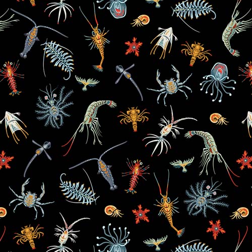Mariana - Plankton Party - Multi- Colorful plankton on black
