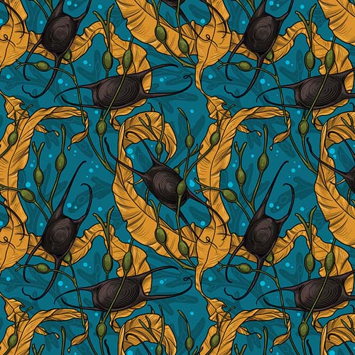 Mariana - Mermaid's Purse - Teal - mermaid purses in seaweed on teal
